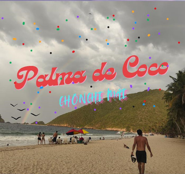 Chinchi Mai palma de coco