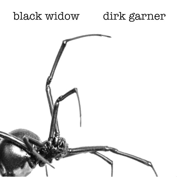 Dirk Garner black widow 