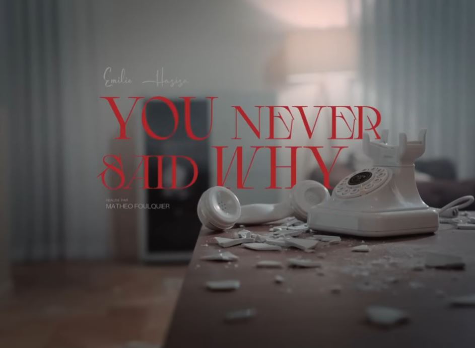 Emilie Haziza You Never Said Why