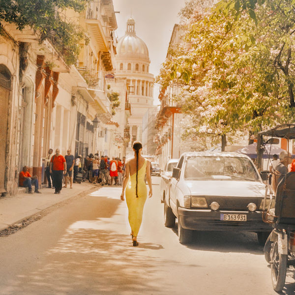 Evelyn Dupuy la isla