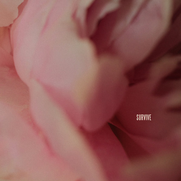 Lewis Capaldi Survive