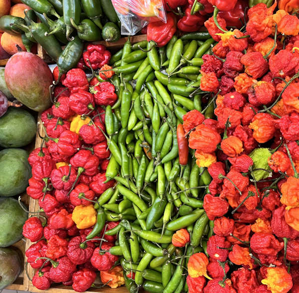 Loco in the coco chile picante 