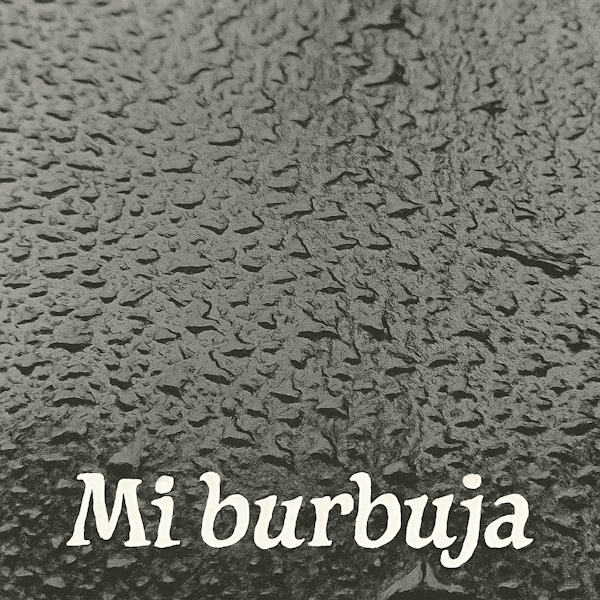 Mi burbuja Proyecto Punik