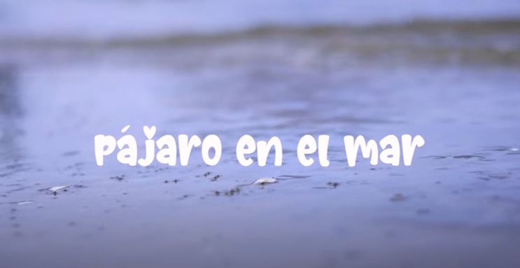 Pájaro en el mar Cristina Jimenez