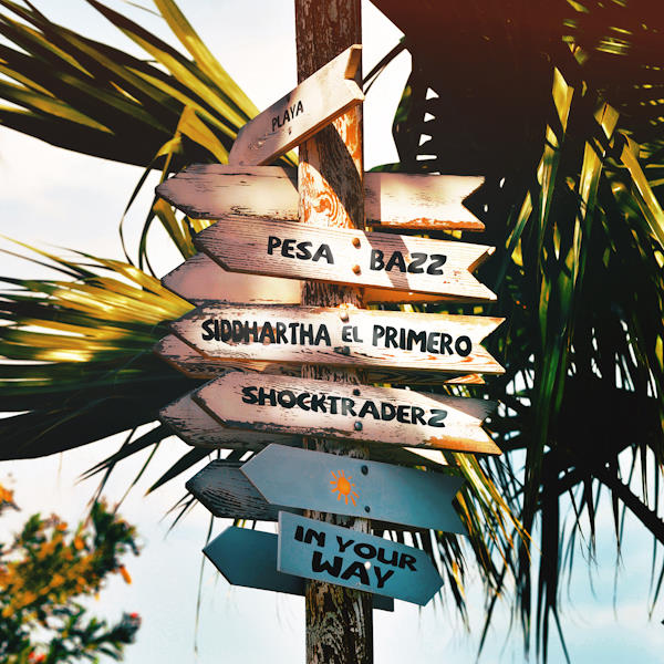 Shocktraderz in your way