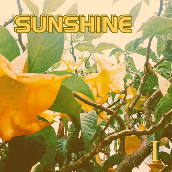 Sunshine Duo Band sky