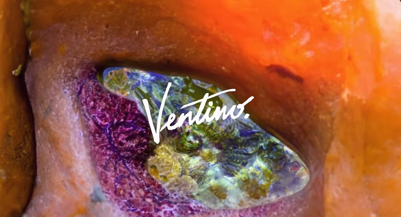 Ventino Te Dejo Entrar